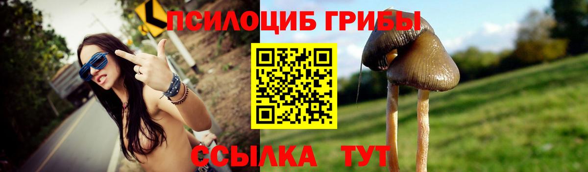 Ирбит  Галлюциногенные грибы MAGIC MUSHROOMS  Псилоцибиновые грибы MAGIC MUSHROOMS  Вход с VPN 